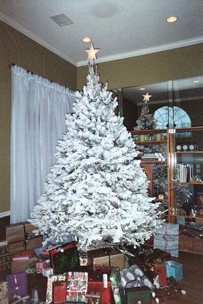 Christmas_Tree_2003.jpg